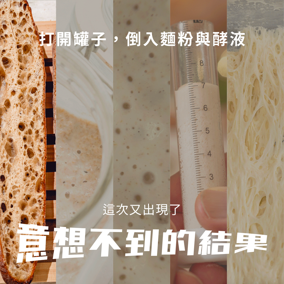 打開罐子,倒入麵粉與酵液 這次又出現了意想不到的結果!