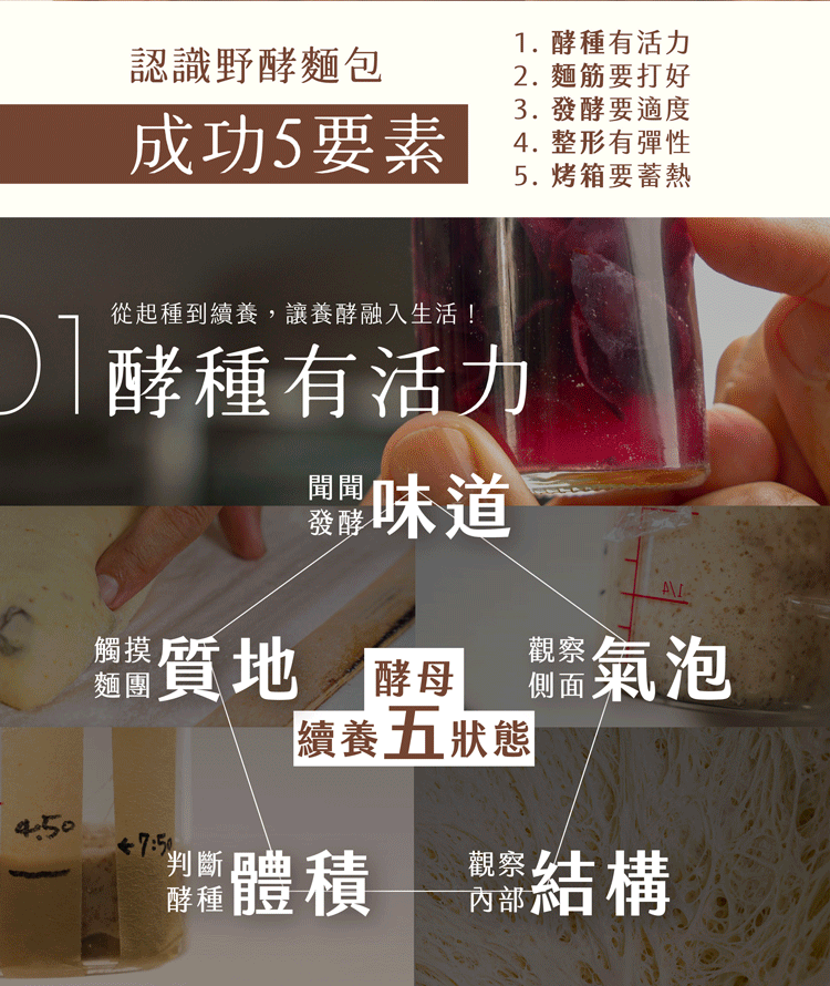 野酵麵包成功要素