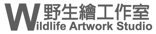 野生繪工作室