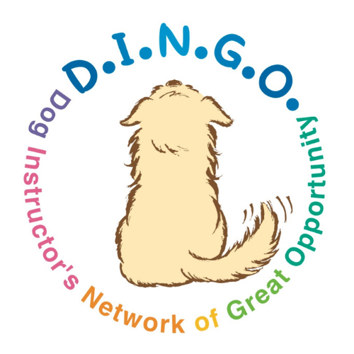 D.I.N.G.O.TAIWAN