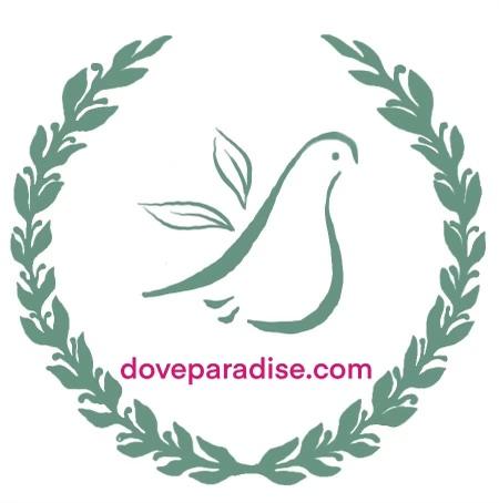 doveparadise 天堂鴿子