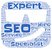 SEO hobby Expert School